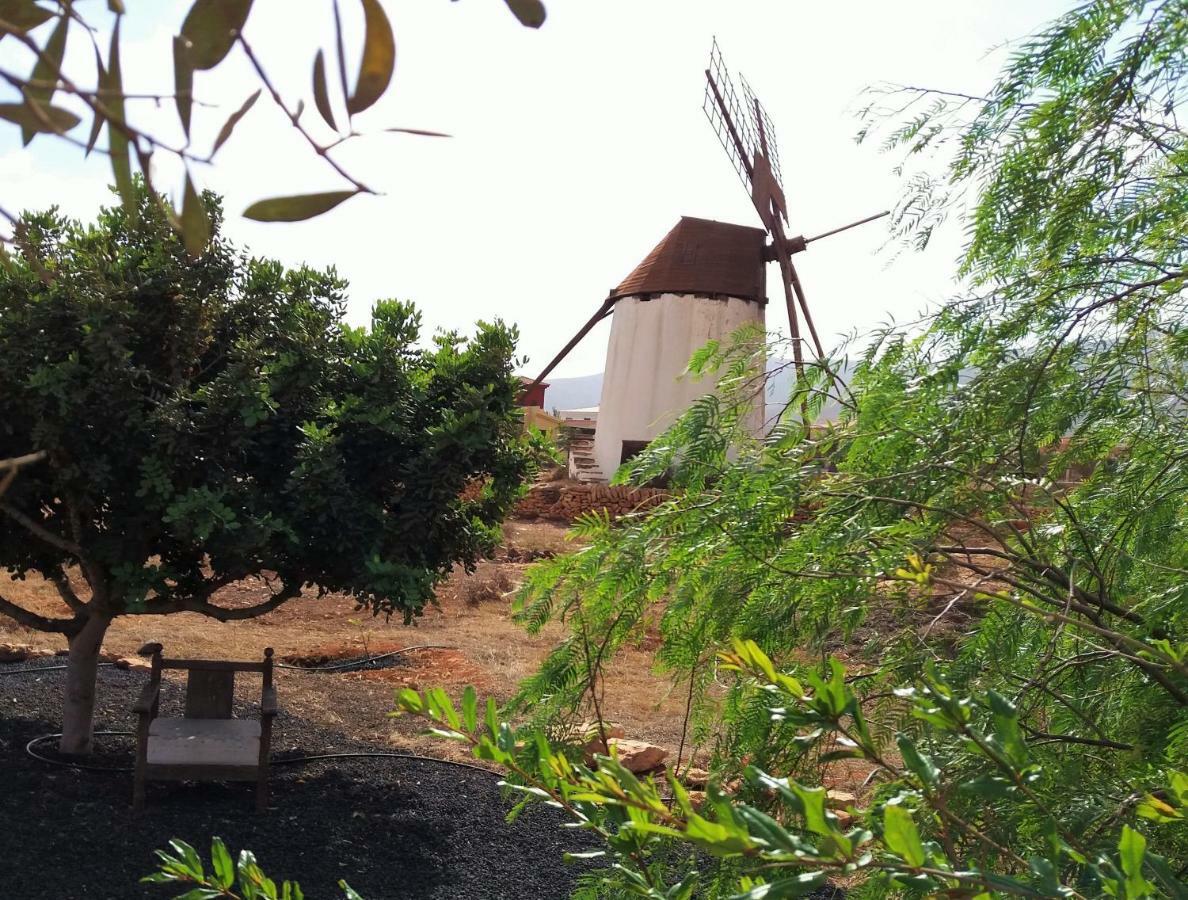 Encantadora Casita Con Molino Y Piscina Antigua  Extérieur photo